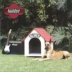 HADDAD / BLUES E OUTROS BICHOS