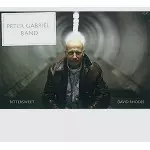 DAVID RHODES / デイヴィッド・ローズ / BITTERSWEET