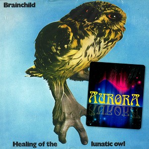 BRAINCHILD / ブレインチャイルド / HEALING OF THE LUNATIC OWL