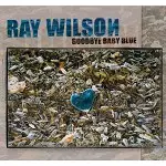 RAY WILSON / レイ・ウィルソン / GOODBYE BABY BLUE