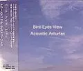 ASTURIAS / アストゥーリアス / バード・アイズ・ビュー