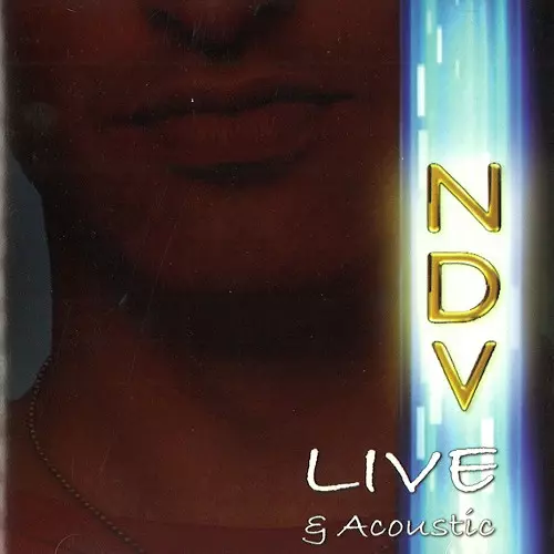 NDV / ニック・ディヴァージリオ / LIVE & ACOUSTIC