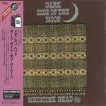 MEDICINE HEAD / メディスン・ヘッド / ダーク・サイド・オブ・ザ・ムーン - 24BITリマスター