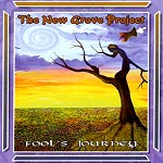NEW GROVE PROJECT / ニュー・グローヴ・プロジェクト / FOOL'S JOURNEY