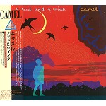 CAMEL / キャメル / ノッド&ウィンク