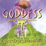 GODDESS TRANCE / ゴッデス・トランス / ELECTRIC SHIATSU