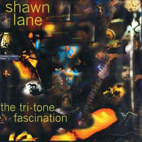 SHAWN LANE / ショーン・レイン商品一覧｜JAZZ｜ディスクユニオン・オンラインショップ｜diskunion.net