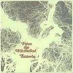 STRAWBS / ストローブス / FROM THE WITCHWOOD - DIGITAL REMASTER