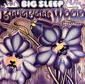 BIG SLEEP / ビッグ・スリープ / BLUEBELL WOOD - 24BIT DIGITAL REMASTER