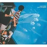 ANGELA JAEGER/DAVID CUNNINGHAM / アンジェラ・ジャガー&デヴィッド・カニンガム / ARTIFICIAL HOMELAND