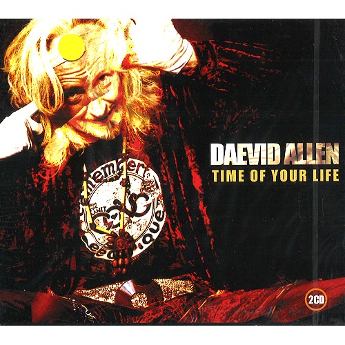 DAEVID ALLEN / デイヴッド・アレン / TIME OF YOUR LIFE