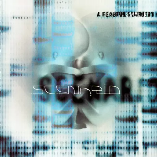 SCENARIO (PROG: ITA) / SCENARIO / A FEARFUL SYMMETRY