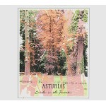 ASTURIAS / アストゥーリアス / CIRCLE IN THE FOREST