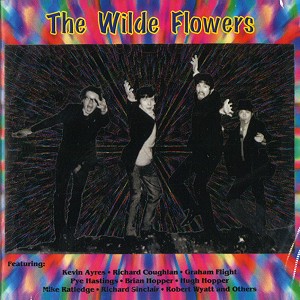 WILDE FLOWERS / ワイルド・フラワーズ / THE WILDE FLOWERS
