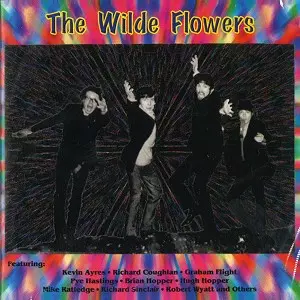 WILDE FLOWERS / ワイルド・フラワーズ / THE WILDE FLOWERS