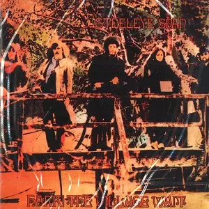 STEELEYE SPAN / スティーライ・スパン / HARK! THE VILLAGE WAIT - REMASTER