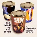 SKIN ALLEY / スキン・アレイ / BAD WORDS AND EVIL PEOPLE - THE TRANSATLANTIC ANTHOLOGY 1972 - 73