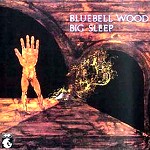 BIG SLEEP / ビッグ・スリープ / BLUEBELL WOOD