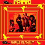PATTO / パトゥー / DUCKS IN FLIGHT
