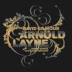 DAVID GILMOUR / デヴィッド・ギルモア / ARNOLD LAYNE
