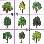 TREES (FOLK: UK) / トゥリーズ / LIVE!