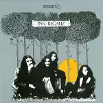 PAN Y REGALIZ / パン・アンド・リガリッツ / PAN Y REGALIZ - 180g LIMITED VINYL