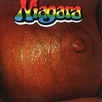 NIAGARA (DEU) / ナイアガラ / NIAGARA - 180g VINYL