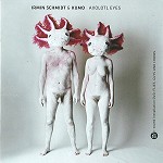 IRMIN SCHMIDT / イルミン・シュミット / AXOLOTL EYES + SOUND INSTALLATION DVD: FLIES, GUYS AND CHOIRES