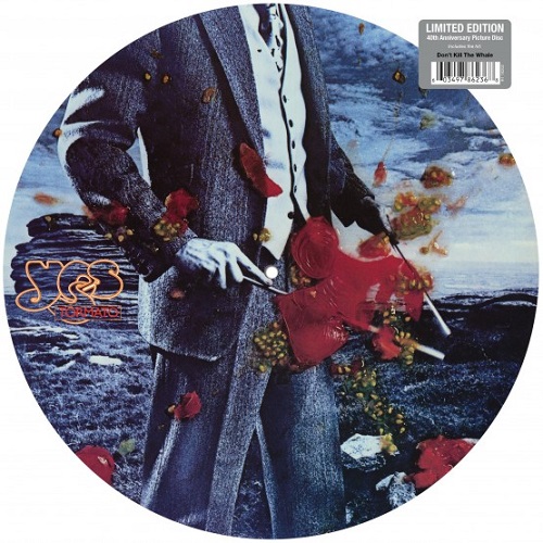 YES / イエス / TORMATO: LIMITED PICTURE VINYL