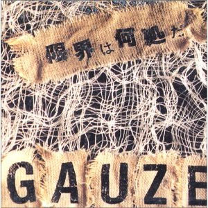 GAUZE / ガーゼ / 限界は何処だ