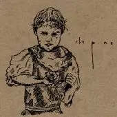 PINE / パイン / PINE