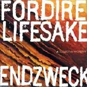 FORDIRELIFESAKE：ENDZWECK商品一覧｜PUNK｜ディスクユニオン