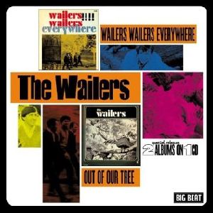 WAILERS (US ROCK) / ウェイラーズ (US ROCK) / WAILERS WAILERS EVERYWHERE+OUT OF OUR TREE