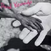 DEAD KENNEDYS / デッド・ケネディーズ / PLASTIC SURGERY DISASTERS+IN GOD WE TRUST.INC.