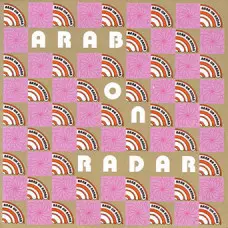ARAB ON RADAR / アラブオンレーダー / QUEEN HYGIENE 2 + ROUGH DAY AT THE ORIFICE