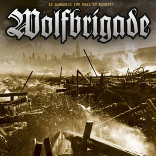 WOLFBRIGADE / IN DARKNESS YOU FEEL (LP)