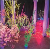 WAREHOUSE:SONGS AND STORIES/HUSKER DU/ハスカーデュー｜PUNK