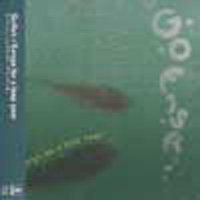 Gofish / ゴーフィッシュ / SONGS FOR THE LEAP YEAR