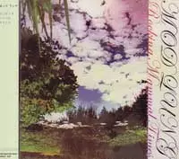 MOD LUNG / ROCKING MAMMAL TIMES