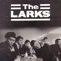 LARKS / ラークス商品一覧｜PUNK｜ディスクユニオン・オンライン