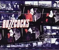 COMPLETE SINGLES ANTHOLOGY/BUZZCOCKS/バズコックス｜PUNK｜ディスク