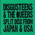 DISGUSTEENS:QUEERS / ディスガスティーンズ:クイアーズ / SPLIT