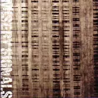 MISERY SIGNALS / ミザリーシグナルズ / MISERY SIGNALS