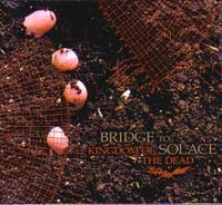 BRIDGE TO SOLACE / ブリッジ・トゥ・ソレイス商品一覧｜PROGRESSIVE