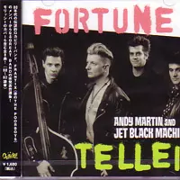 ANDY MARTIN AND JET BLACK MACHINE / アンディーマーティンアンドジェットブラックマシーン / FORTUNE TELLER