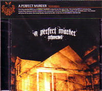 PERFECT MURDER / パーフェクトマーダー / REHEARSAL