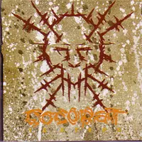 COCOBAT / 12 STEPS