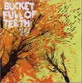 BUCKET FULL OF TEETH / バケットフルオブティース / BUCKET FULL OF TEETH