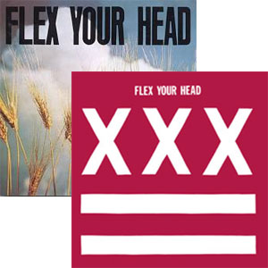 オムニバス (DISCHORD RECORDS) / FLEX YOUR HEAD 