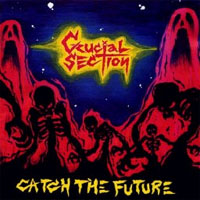 CRUCIAL SECTION / CATCH THE FUTURE (レコード)
